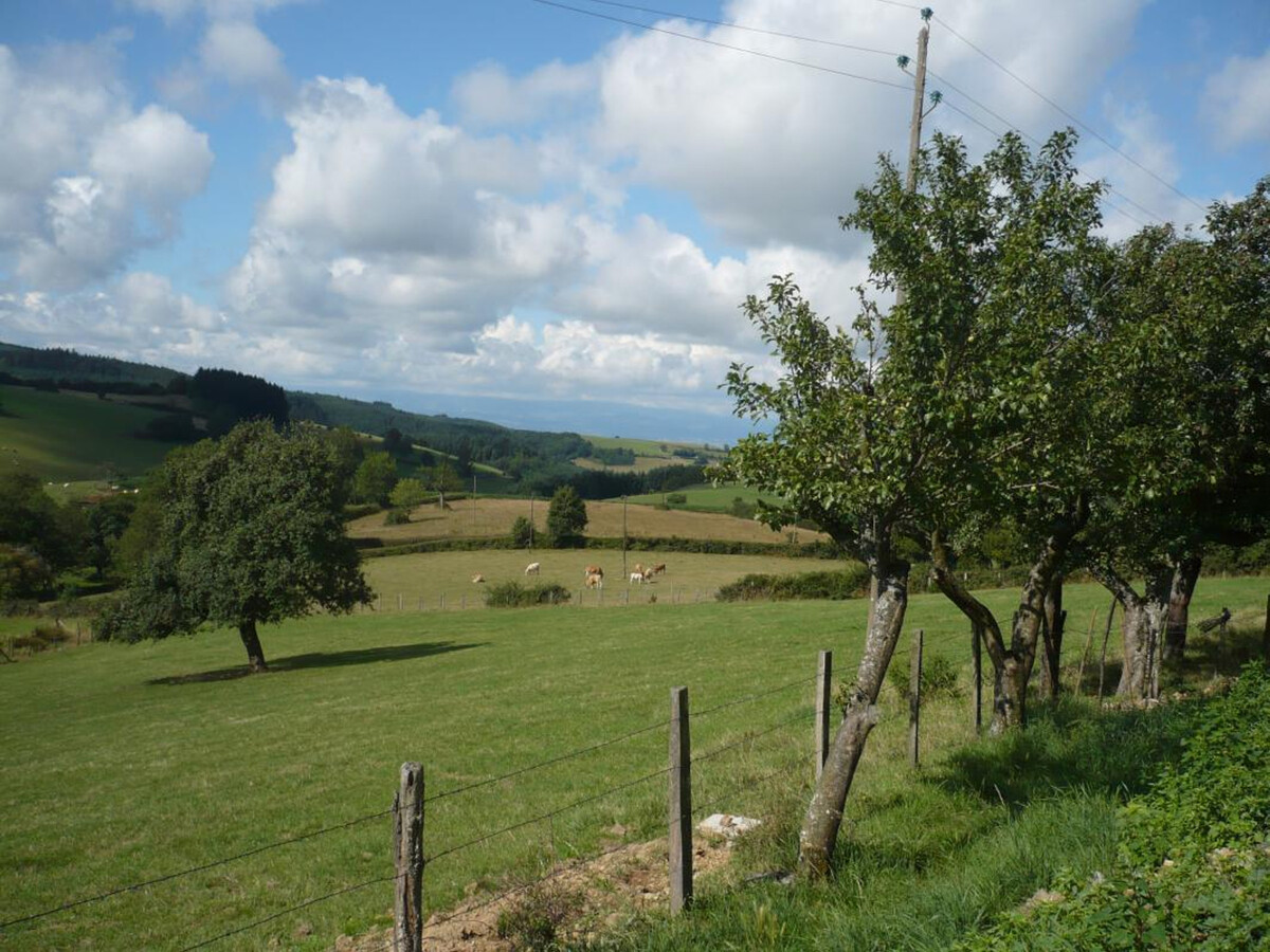 Gîte 8 pers. avec terrain, animaux bienvenus à Saint-Cyr-de-Valorges - Photo 14