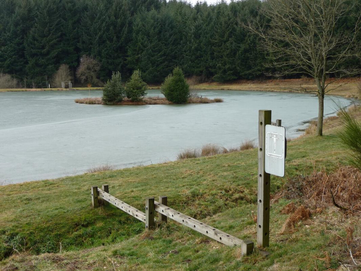Gîte 8 pers. avec terrain, animaux bienvenus à Saint-Cyr-de-Valorges - Photo 17
