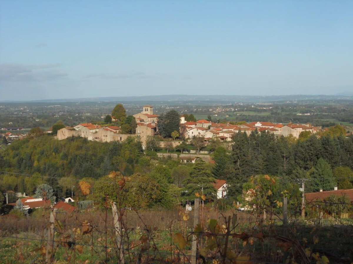 La Judée : gîte 6 pers. avec piscine à Saint-Haon-le-Châtel - Photo 14