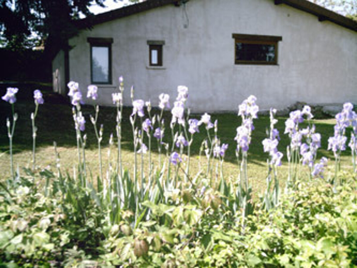 La Judée : gîte 6 pers. avec piscine à Saint-Haon-le-Châtel - Photo 15