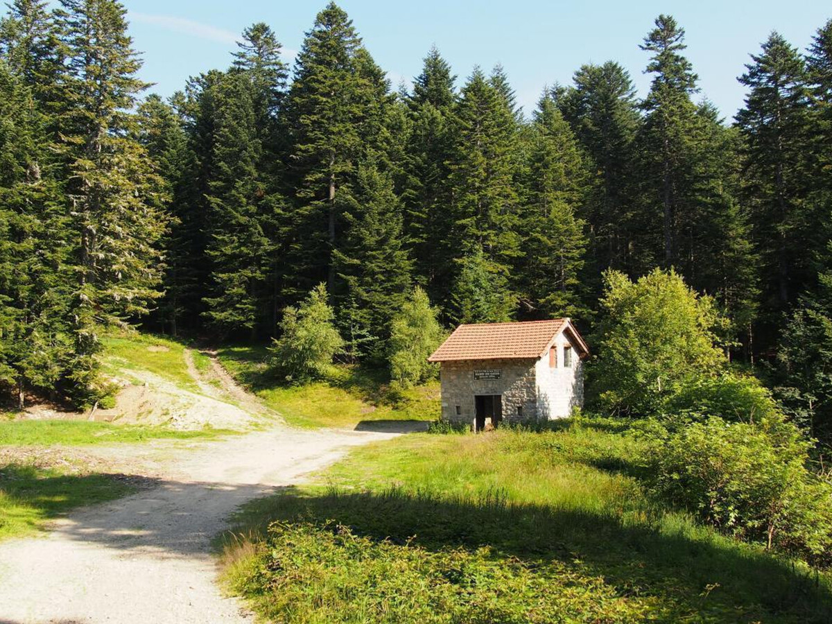 Gîte La Creuse : 8 pers., sauna et jardin clos au Bessat - Photo 27