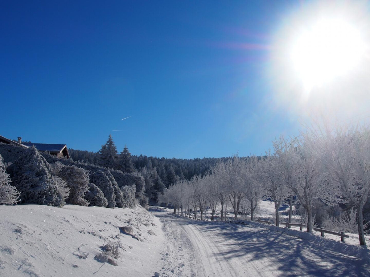 Gîte La Creuse : 8 pers., sauna et jardin clos au Bessat - Photo 33