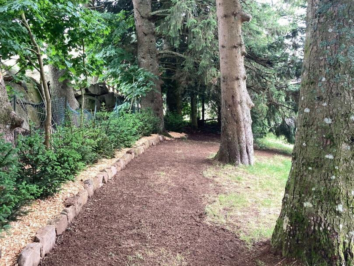 Gîte La Creuse : 8 pers., sauna et jardin clos au Bessat - Photo 35