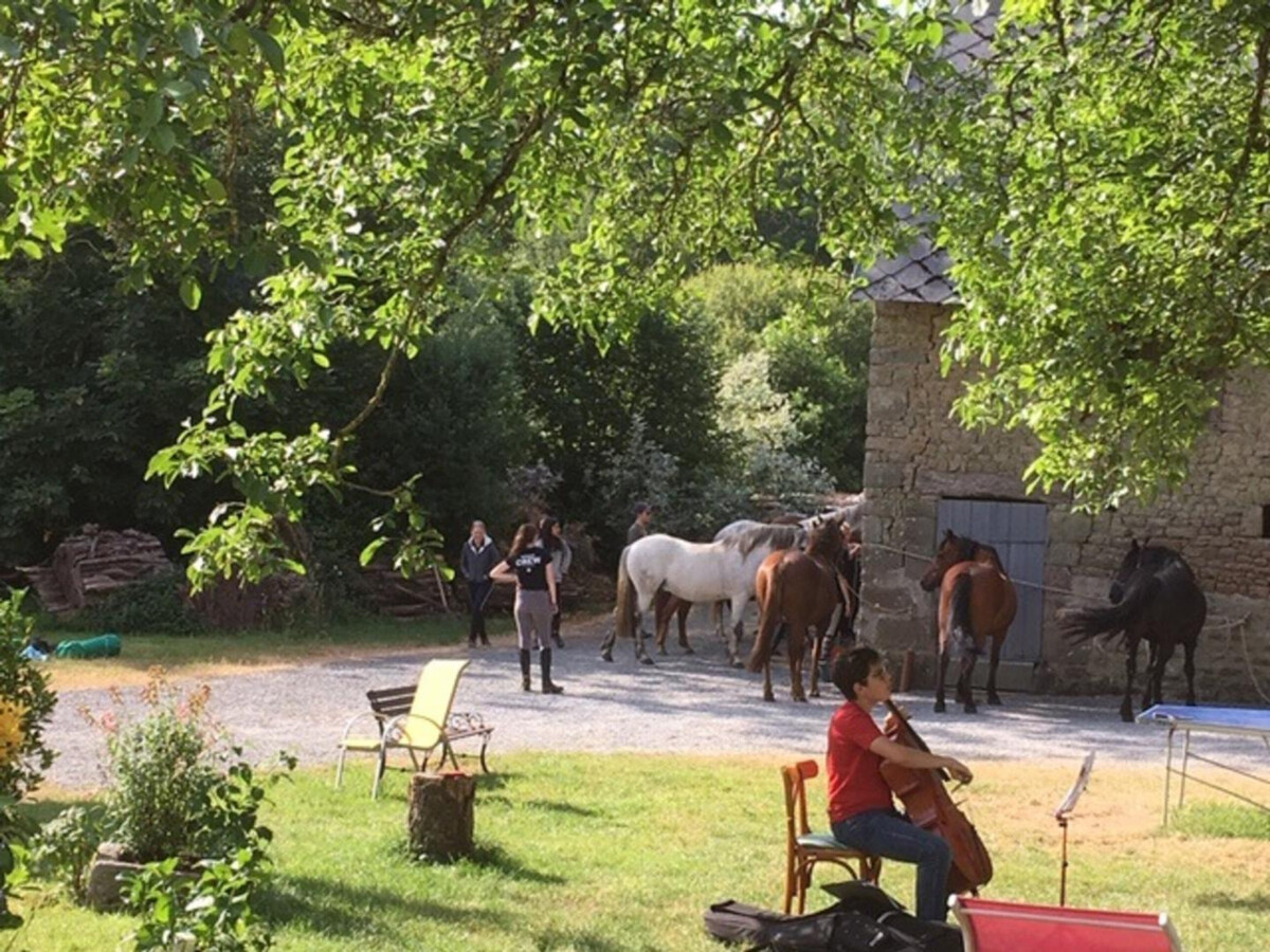 Gîte normand 5 pers. avec jardin et barbecue - Photo 16