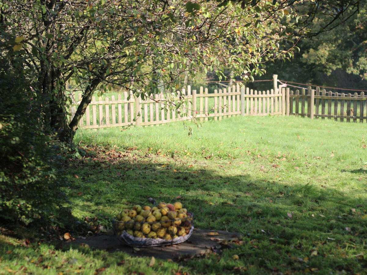 Gîte 4 pers. avec jardin et barbecue près du Mont-Saint-Michel - Photo 18