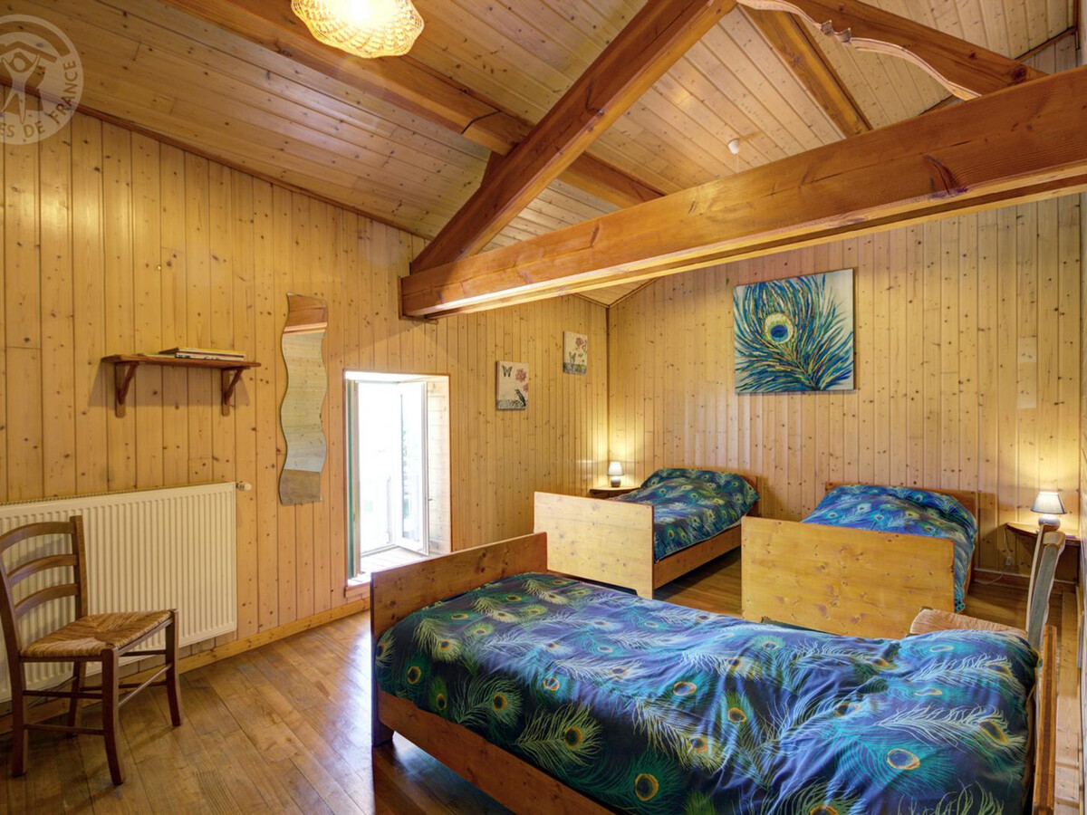 Gîte 9 personnes avec cheminée et terrain de jeux à Saint-Romain-d'Urfé - Photo 17