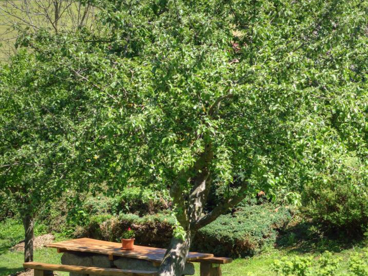 Gîte 9 personnes avec cheminée et terrain de jeux à Saint-Romain-d'Urfé - Photo 25