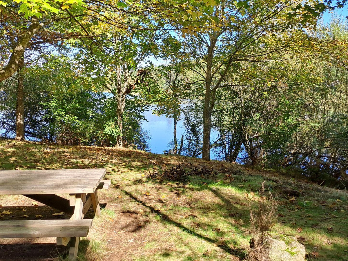 Gîte Les Myrtilles : 40 m² confort, animaux acceptés - Photo 31