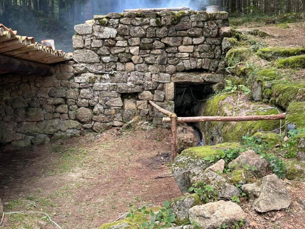 Gîte Les Myrtilles : 40 m² confort, animaux acceptés - Photo 33