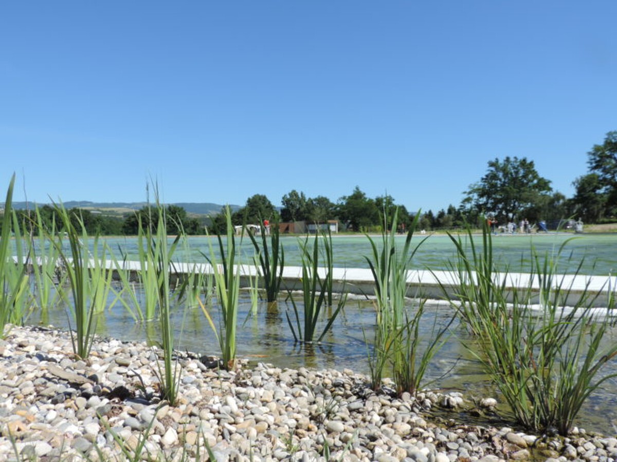 Les Cerisiers : gîte 75 m² avec jardin à Lorette - Photo 11