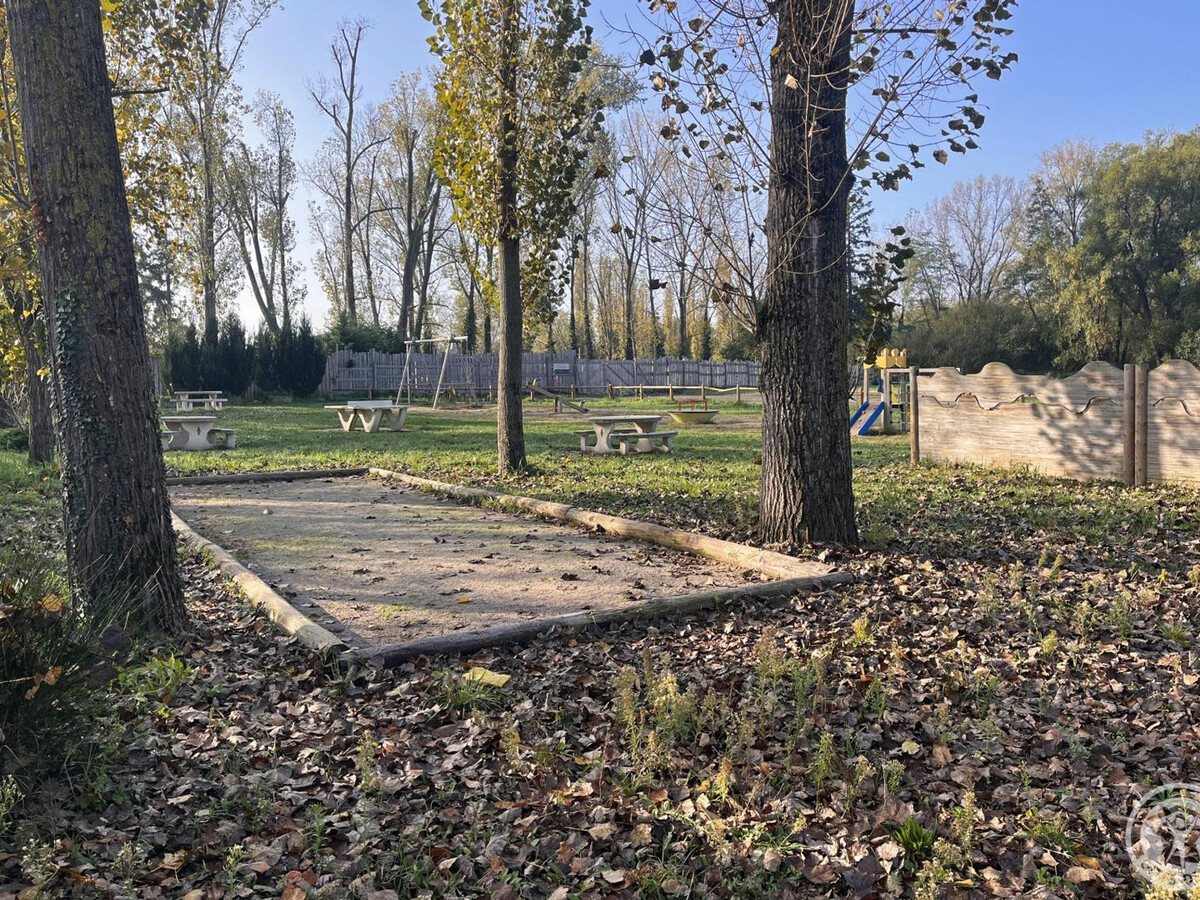Cabane Libellule sur pilotis à Veauchette, animaux acceptés - Photo 17