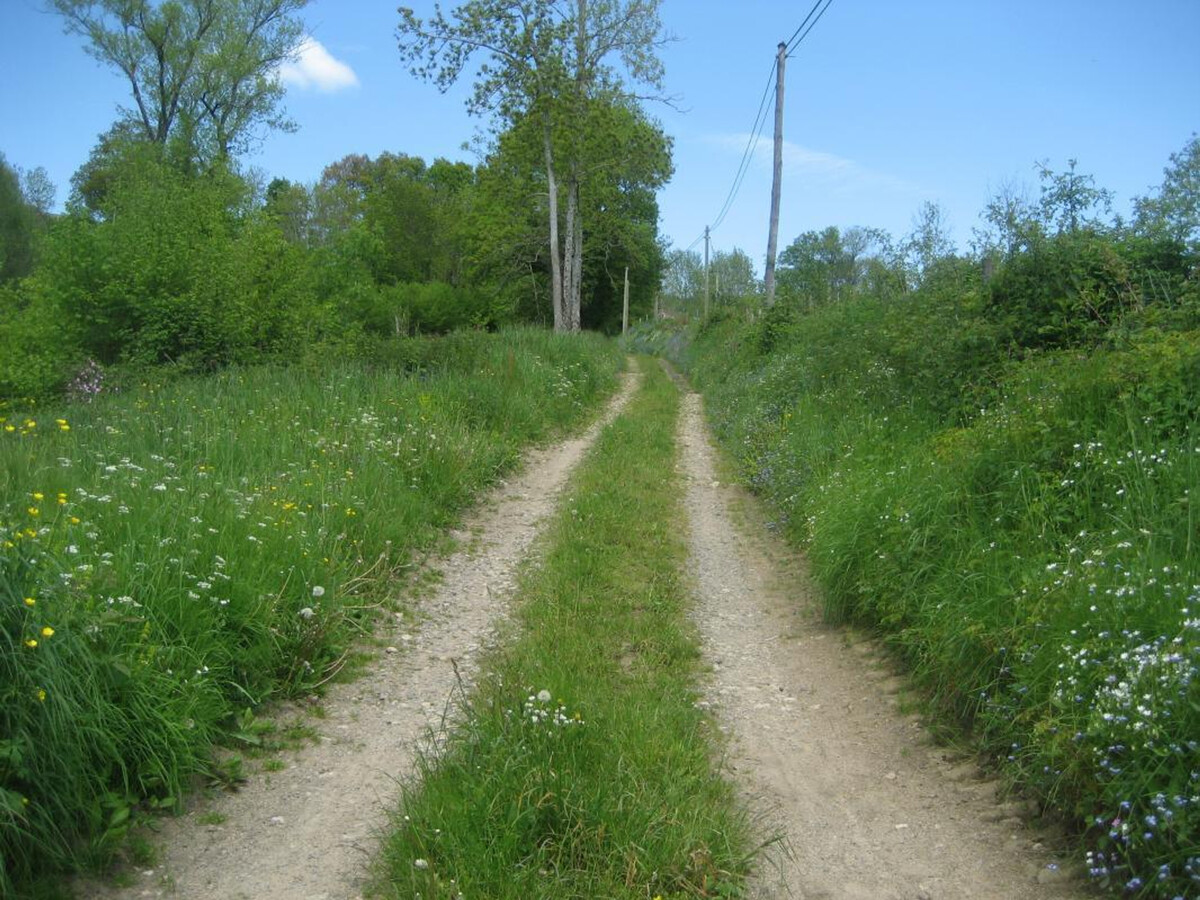 Gîte plain-pied 6 pers. avec jardin 1000 m² et cheminée - Photo 18