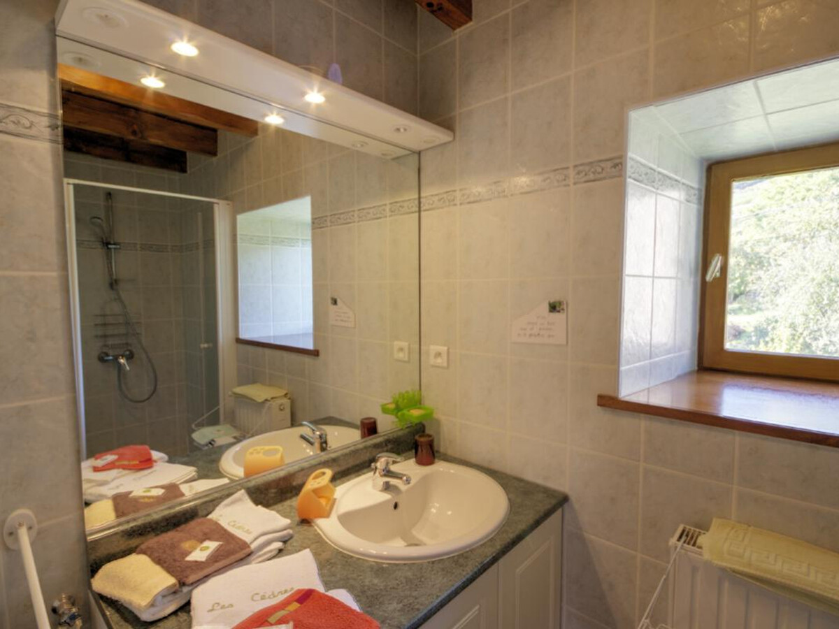 Gîte Les Cèdres - Ferme XVIe siècle, cheminée, 6 pers. - Photo 12