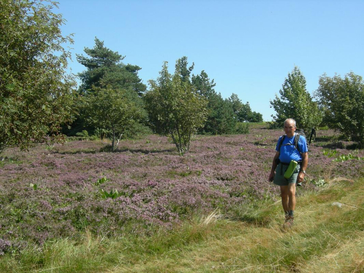 Gîte éco-responsable 6 pers. à 6 km des pistes - Photo 22