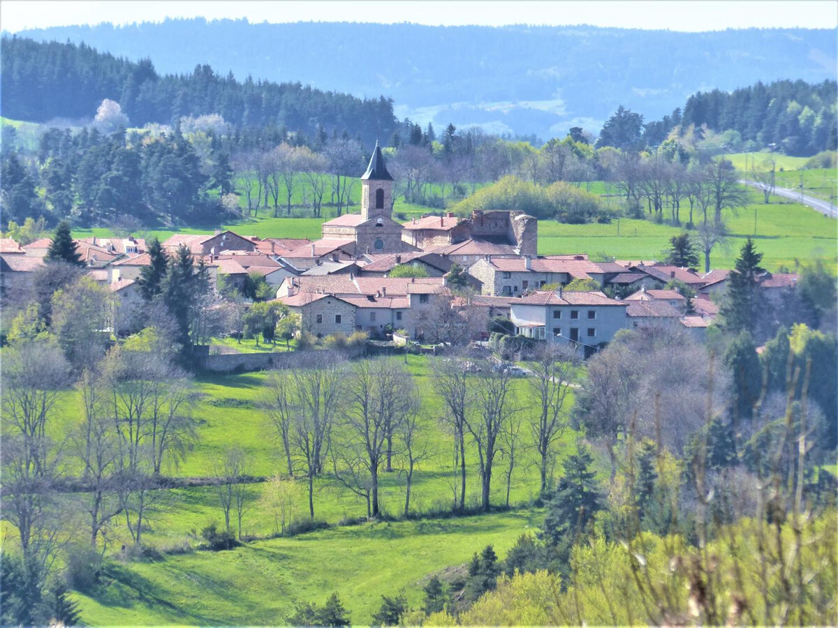 Gîte 3 épis à 850 m d'altitude, animaux acceptés - Photo 20