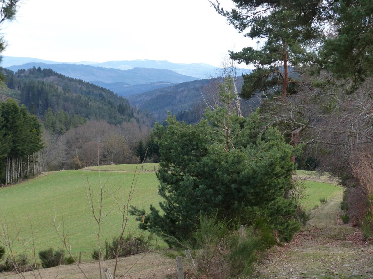Gîte 3 épis à 850 m d'altitude, animaux acceptés - Photo 24