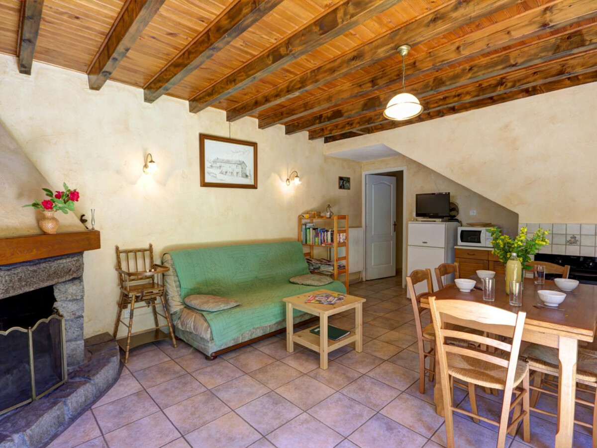 Gîte Le Crêt de Chorand, 1 050 m, cheminée et jardin - Photo 10