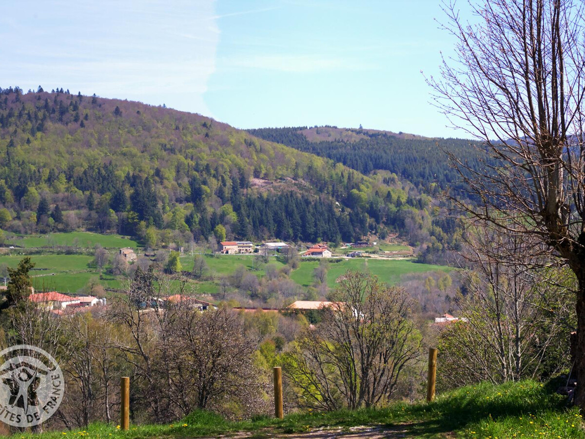 Gîte Le Crêt de Chorand, 1 050 m, cheminée et jardin - Photo 14