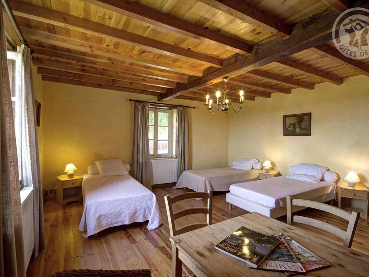 Gîte 5 chambres 250 m² à Saint-Martin-la-Sauveté, animaux acceptés - Photo 18