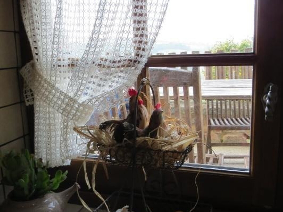 Gîte en pierre avec four à pain, poêle et jardin de 700 m² - Photo 11