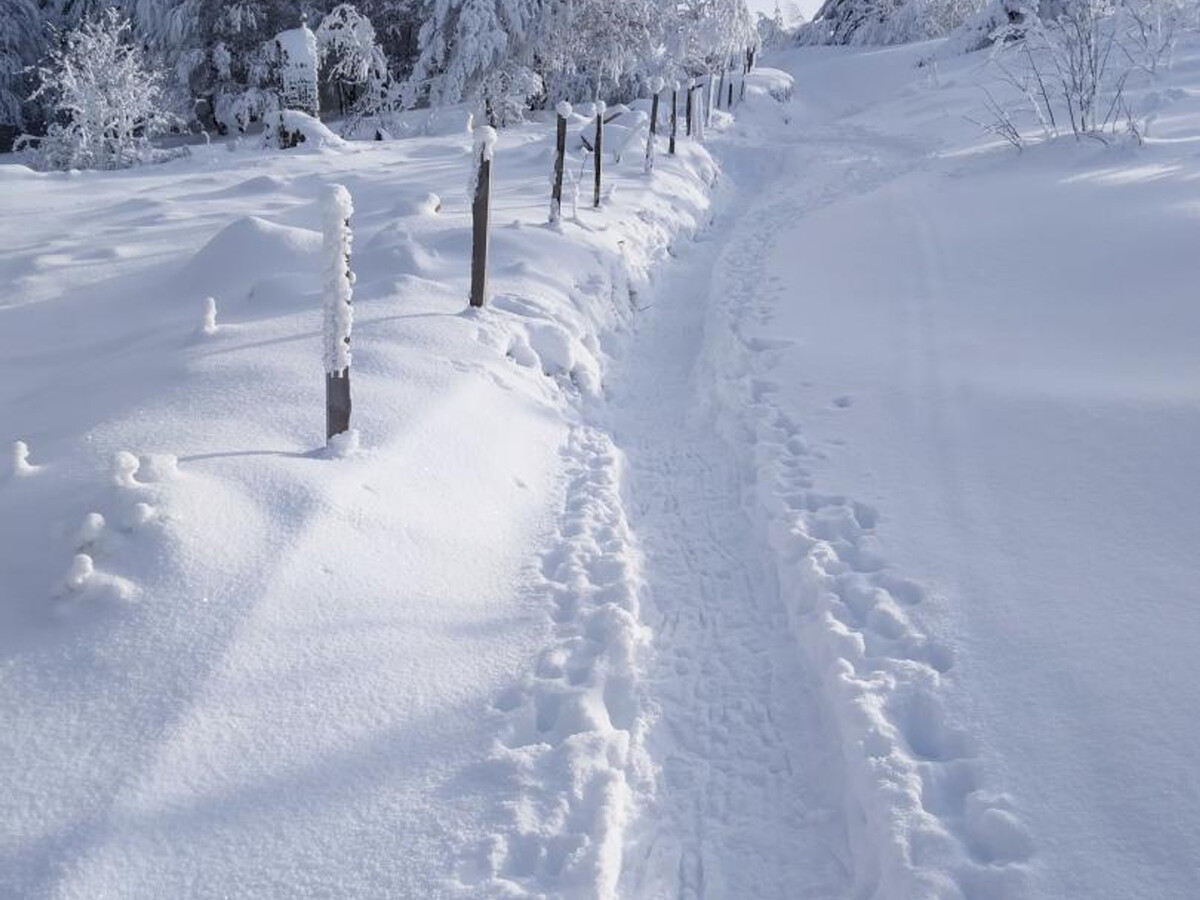 Gîte 6 pers. à 500m des pistes, terrain privatif - Photo 22