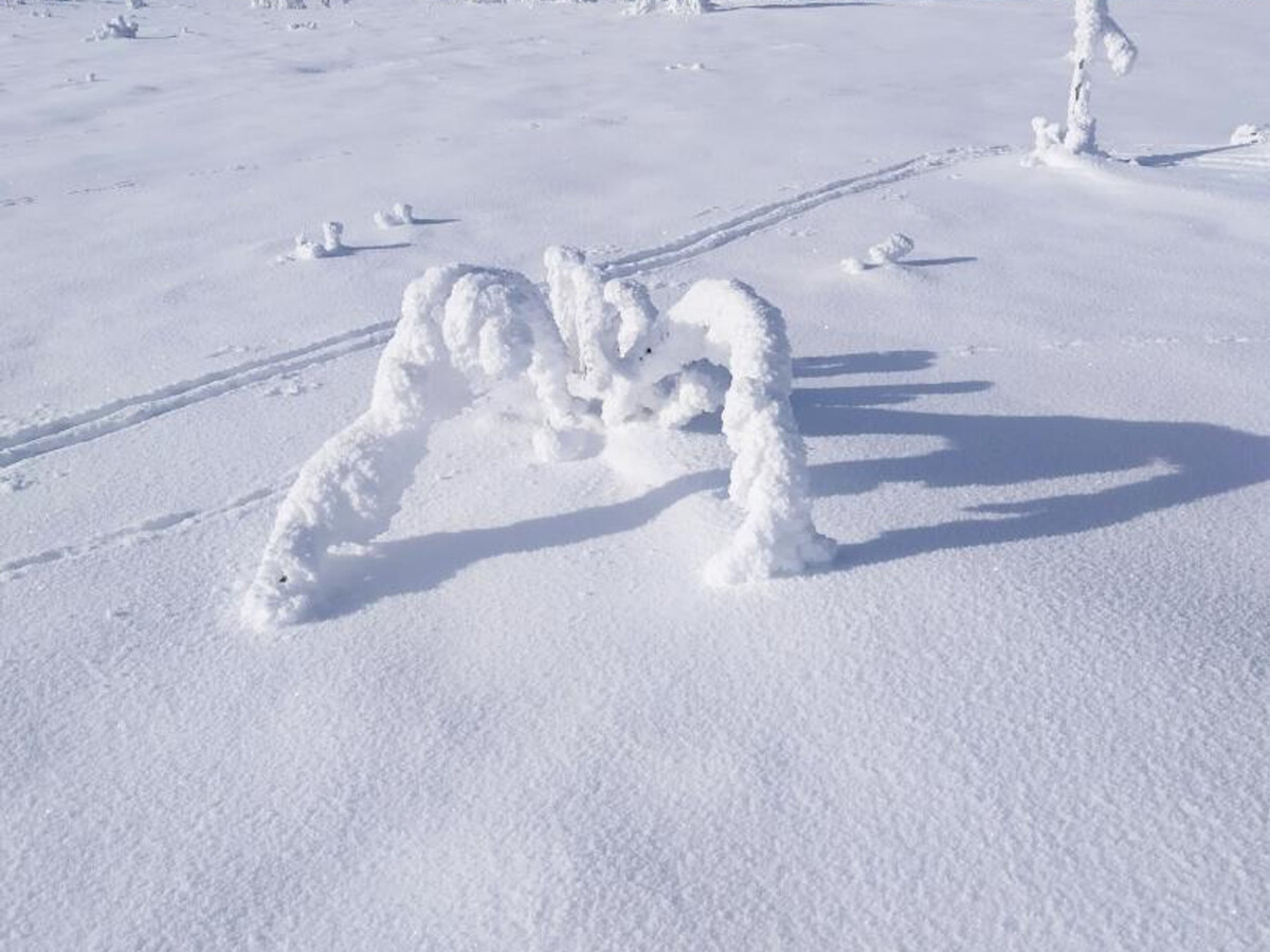 Gîte 6 pers. à 500m des pistes, terrain privatif - Photo 23