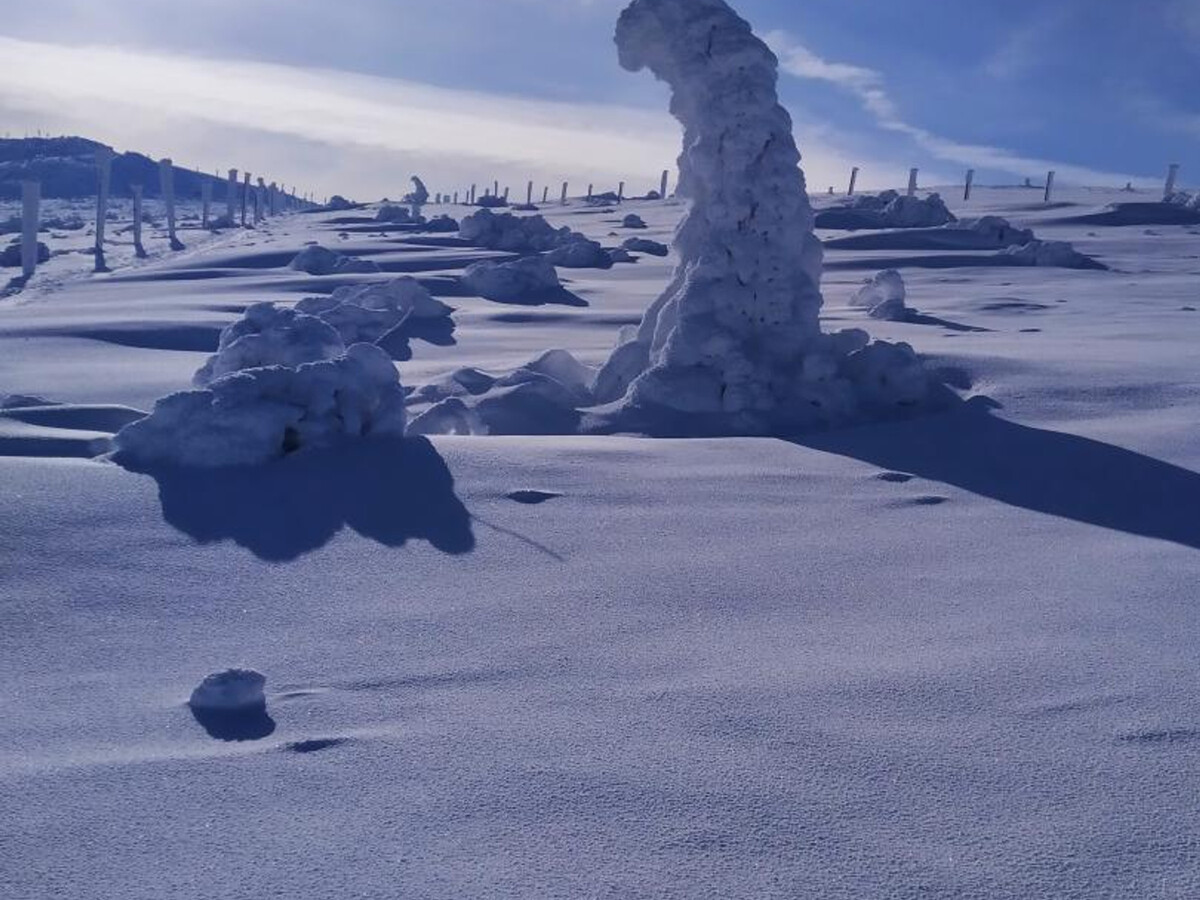 Gîte 6 pers. à 500m des pistes, terrain privatif - Photo 26