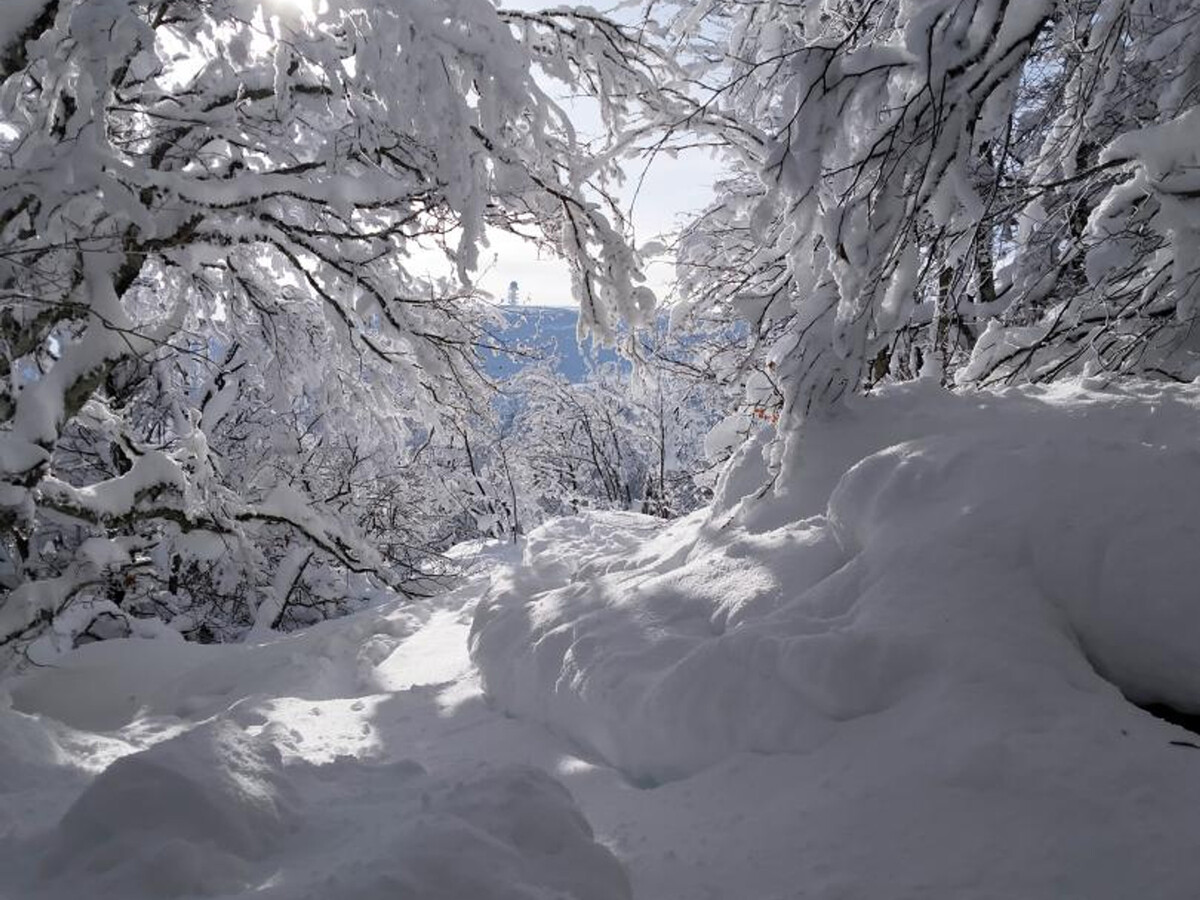 Gîte 6 pers. à 500m des pistes, terrain privatif - Photo 27