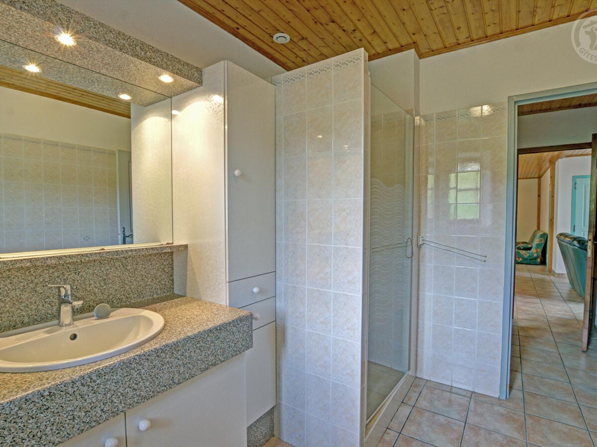 Gîte 11 pers. à 930 m, poêle à bois, parc Livradois-Forez - Photo 16