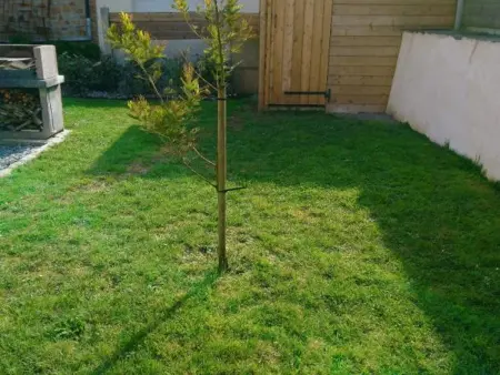 Gîte 5 pers. avec grande terrasse et 4 vélos à Donville : photo 30