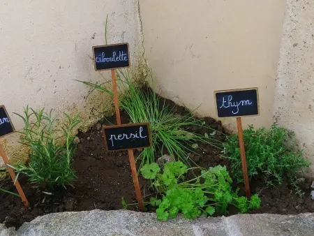 Gîte 5 pers. avec grande terrasse et 4 vélos à Donville : photo 31