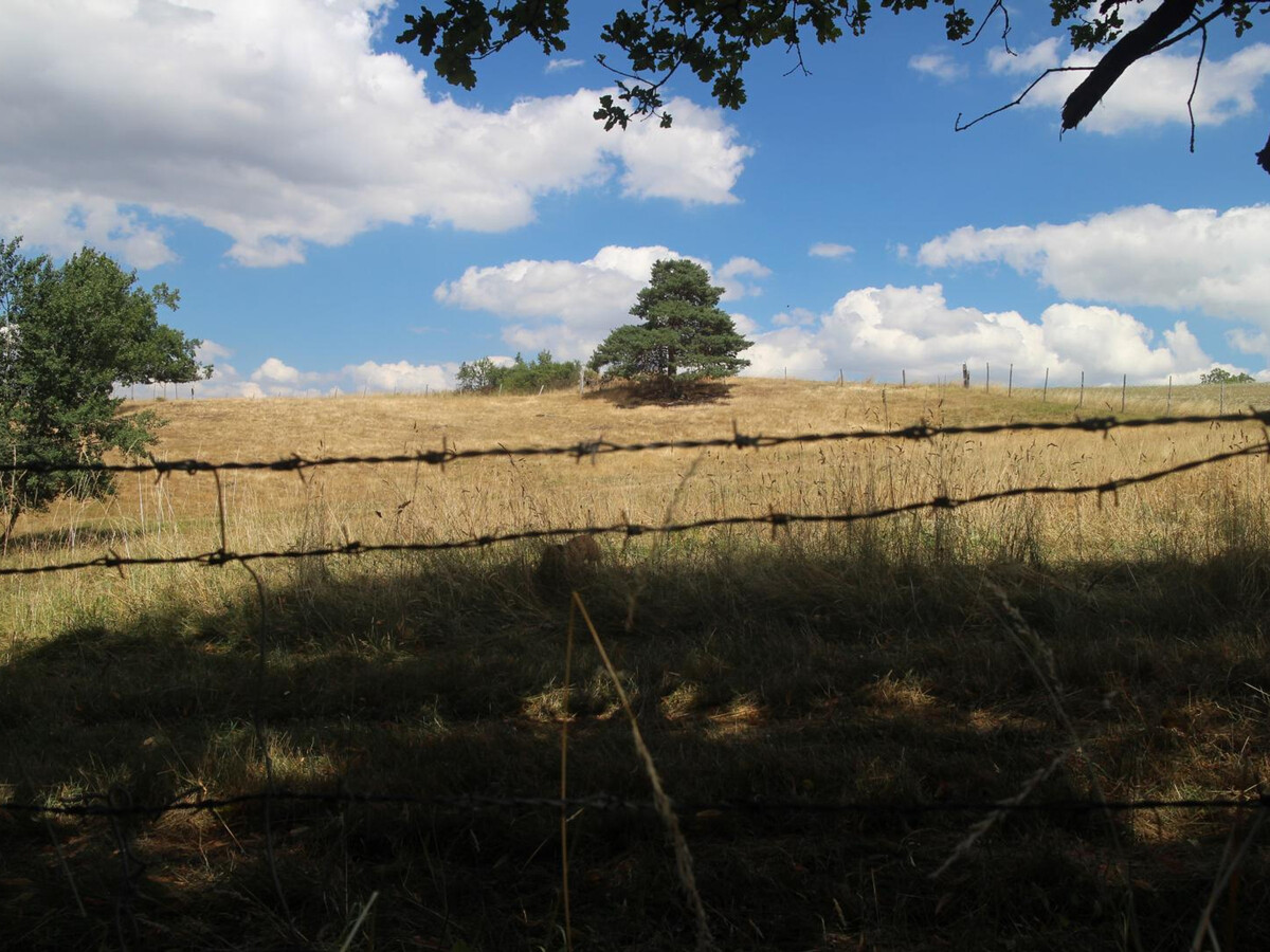 La Conciergerie : gîte 2 pers. avec jardin et pêche à Montbrison - Photo 19