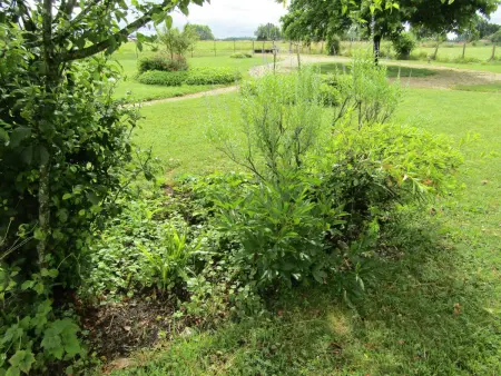Gîte confortable avec grand jardin privé et WIFI - Photo 21