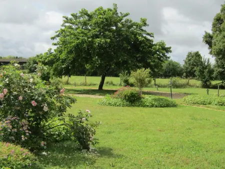 Gîte confortable avec grand jardin privé et WIFI - Photo 22
