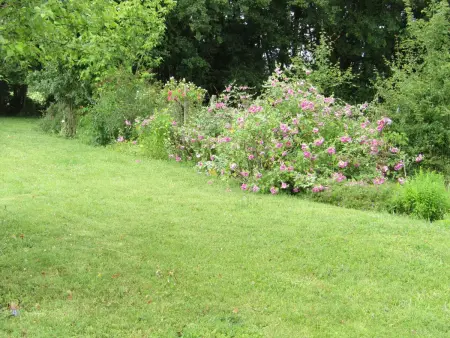 Gîte confortable avec grand jardin privé et WIFI - Photo 26