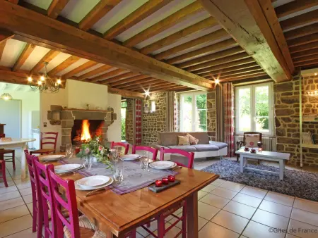 Maison spacieuse, animaux admis - 10 pers., Location Gite 10 personnes à La Sauvagère - Photo 1