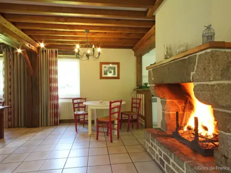 Maison spacieuse, animaux admis - 10 pers., Location Gite 10 personnes à La Sauvagère - Photo 6