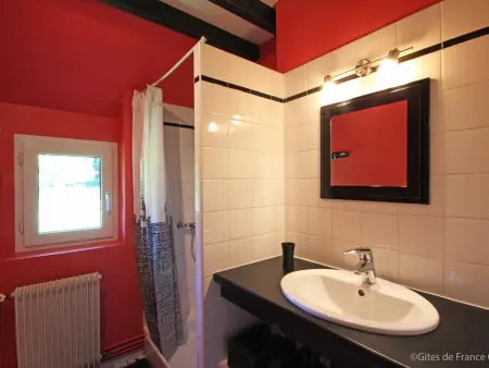 Maison spacieuse, animaux admis - 10 pers., Location Gite 10 personnes à La Sauvagère - Photo 12