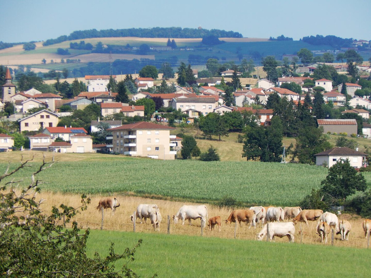 Gîte La Grange-Neuve : maison rustique 5 pers. avec jardin - Photo 15