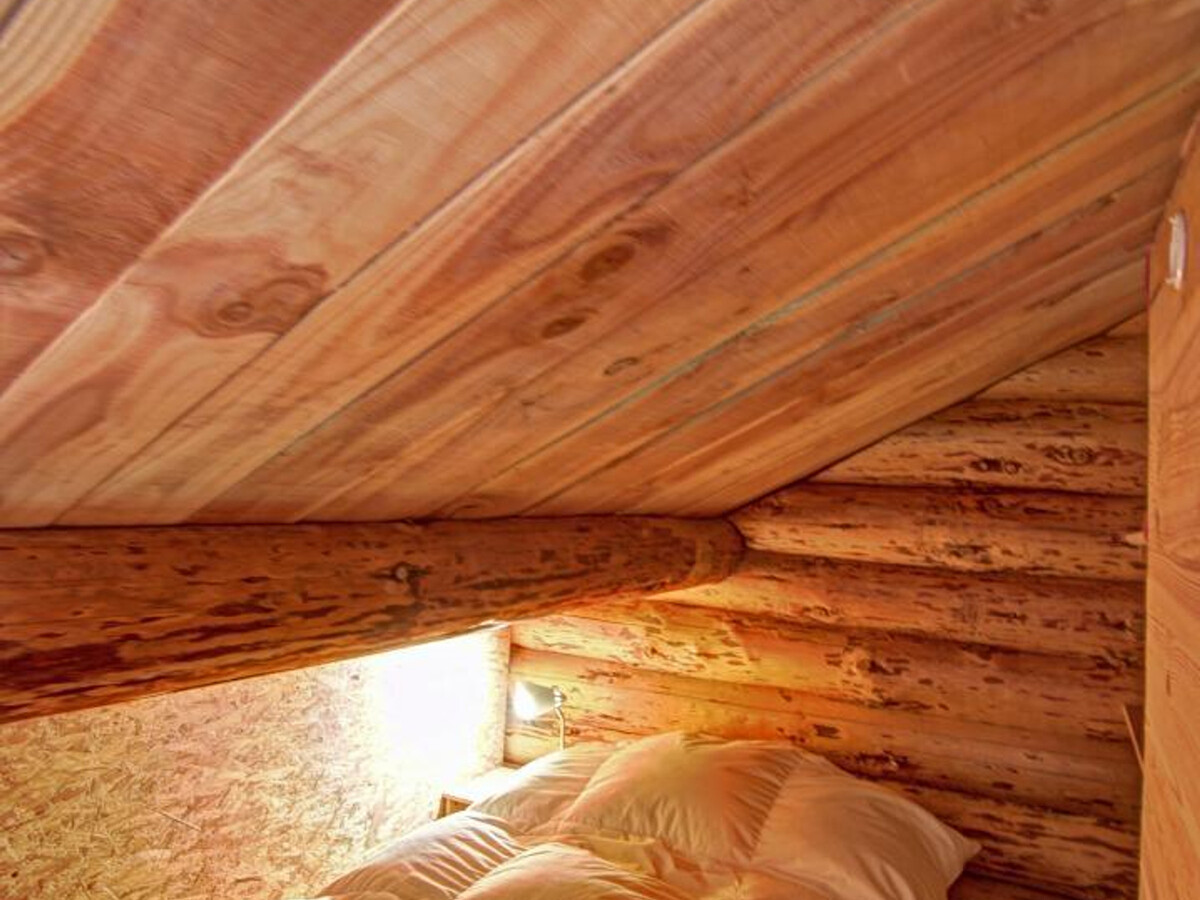 Chalet rustique 3 pers à Saint-Martin-la-Sauveté, poêle à bois - Photo 10