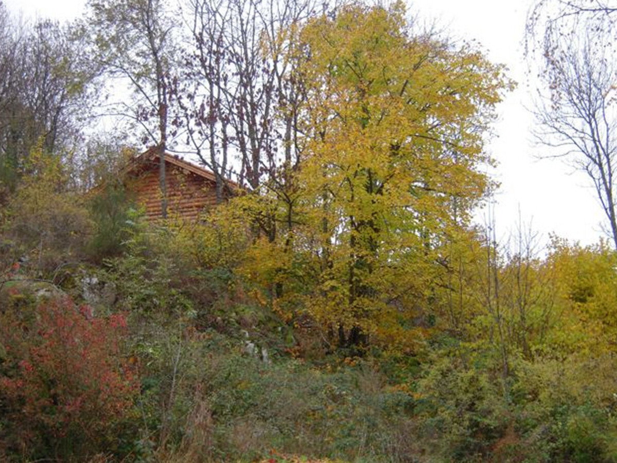 Chalet rustique 3 pers à Saint-Martin-la-Sauveté, poêle à bois - Photo 14