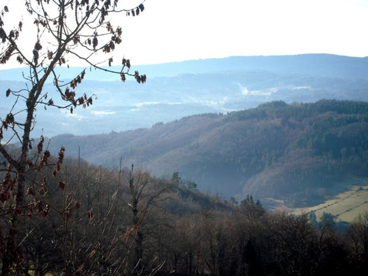 Chalet rustique 3 pers à Saint-Martin-la-Sauveté, poêle à bois - Photo 15