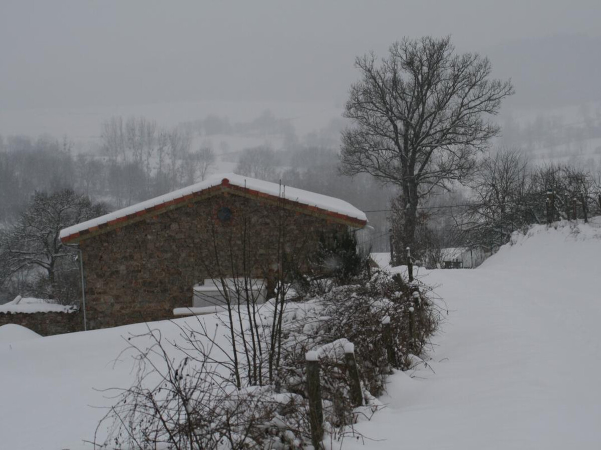 Écogîte 80 m² avec terrasse 20 m² à Saint-Romain-d'Urfé - Photo 14