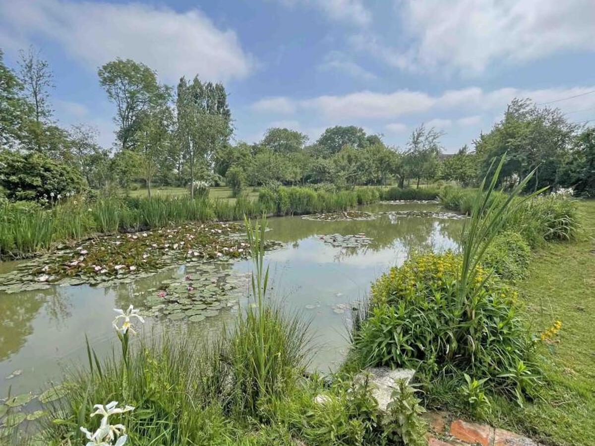 Gîte rural 6 pers. à Sarceaux, 1,5 ha et pêche - Photo 35