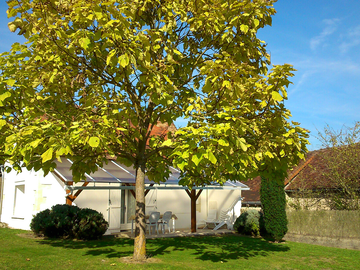 Longère 80m² à La Roche-Posay, terrasse plein sud - Photo 2