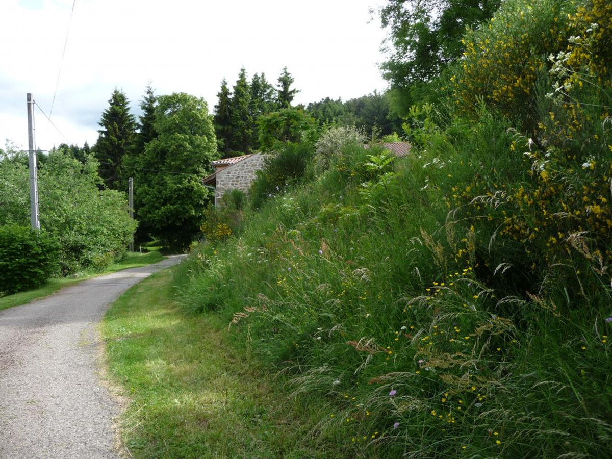 Gîte forézien 19e s., 6 pers., jardin 500m² - Photo 10