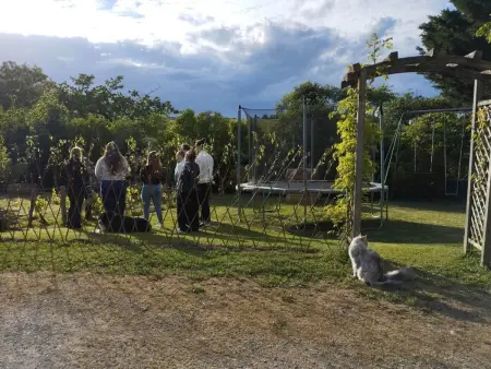 Gîte 9 pers. avec cave à champagne et jeux enfants : photo 19