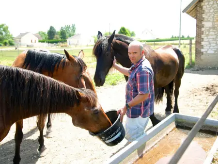 Gîte indépendant 4 pers. avec jardin clos à Bucey-en-Othe : photo 16
