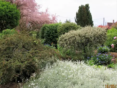 Gîte 6 pers. avec terrain de jeux et barbecue à Racines : photo 15