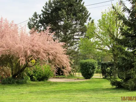 Gîte 6 pers. avec terrain de jeux et barbecue à Racines : photo 16
